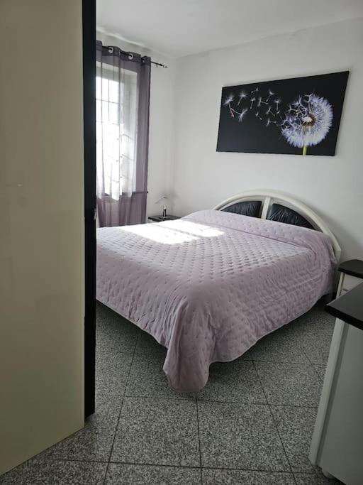 La Casa Della Lavanda Borgo Adorno Extérieur photo
