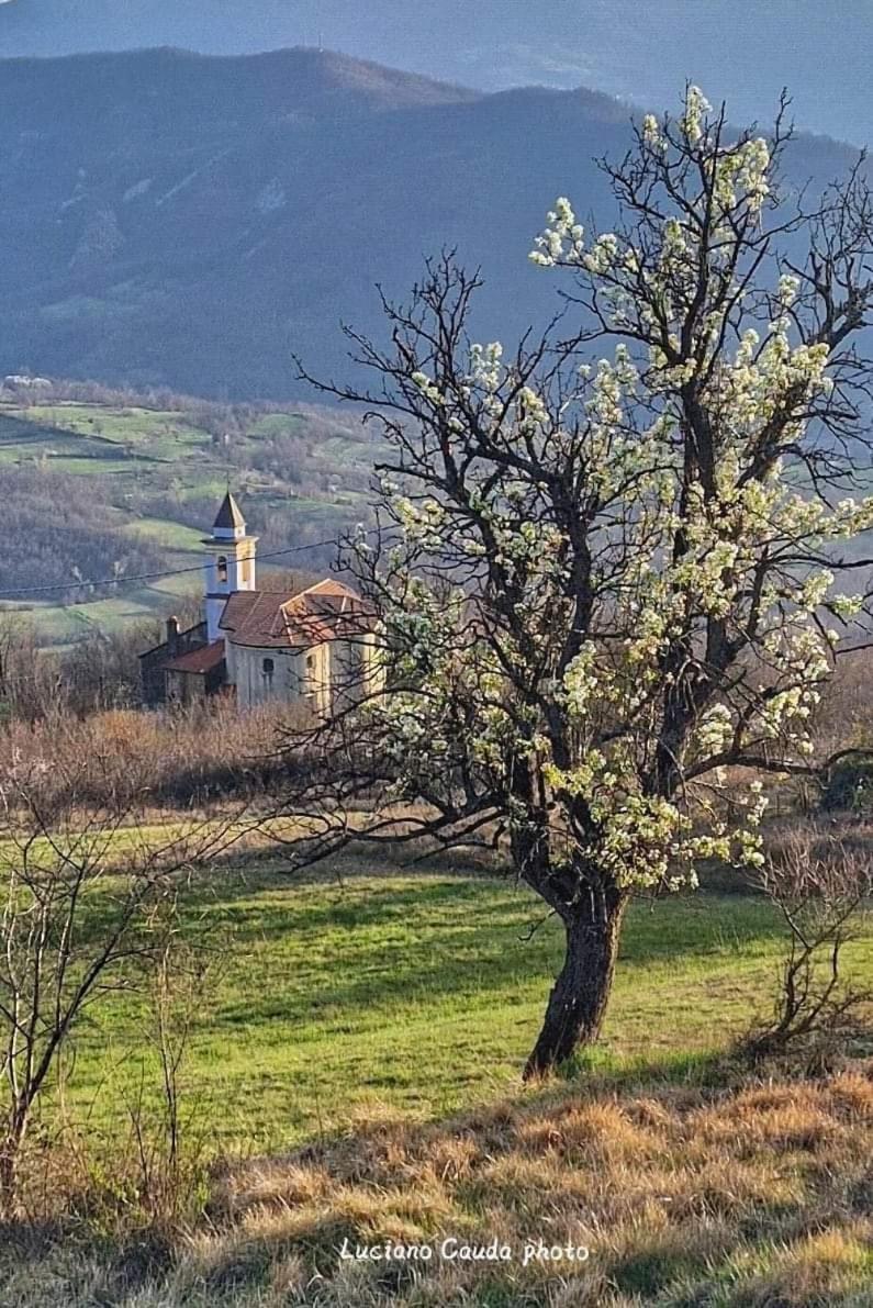 La Casa Della Lavanda Borgo Adorno Extérieur photo