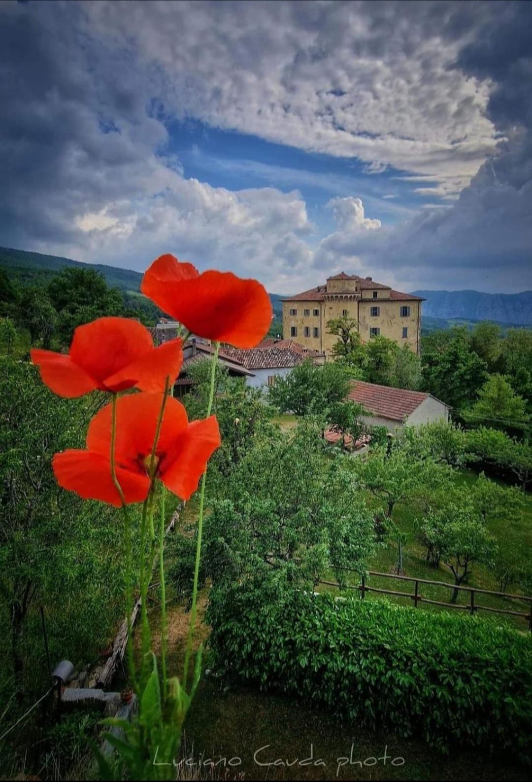 La Casa Della Lavanda Borgo Adorno Extérieur photo